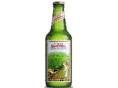 Bière Hanfblüte Appenzeller Bier 330ml 5.2%