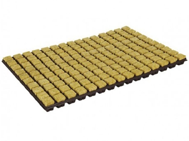  150 cubes de laine de roche sur plateau