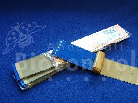 Bandes bleues