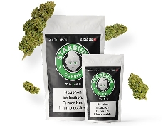 Starbuds OG Kush Greenhouse CBD 26% 2.5gr (Cannabis Légal)