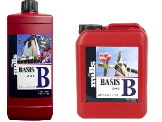 Mills Basis B