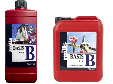 Mills Basis B