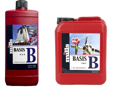 Mills Basis B
