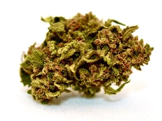 Red City Cannatonic CBD 4gr