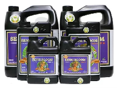 Advanced Nutrients PH Perfect Sensi Bloom B