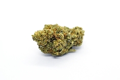 Red City Bubble Gum 4g