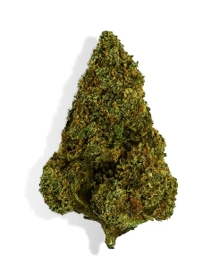 CannaGold Mandarina 5g Millésime Sélection