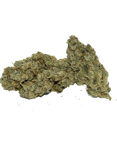 KDC Organic NLX CBD 10gr