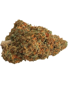 CannaGold Strawberry Banana 3g CBD Indoor
