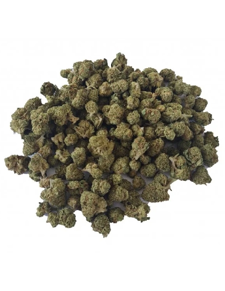 Kaya Mini Buds CBD Plutonium 25gr (Cannabis Légal)