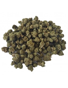 Kaya Mini Buds CBD Plutonium 50gr (Cannabis Légal)