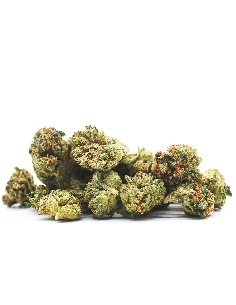 Kaya Mini Buds CBD Caramel 10gr (Cannabis Légal)