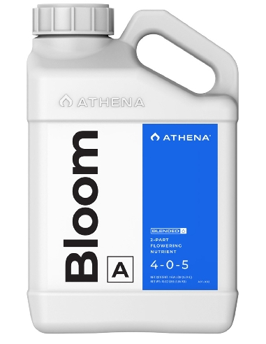 Athena Bloom A